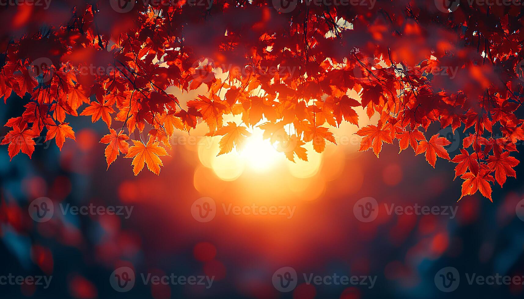 sunset through the branches of maple tree to signify the changing of seasons. Fall time with dried up orange and red maple leaves. Autumn in the park through tree branches photo