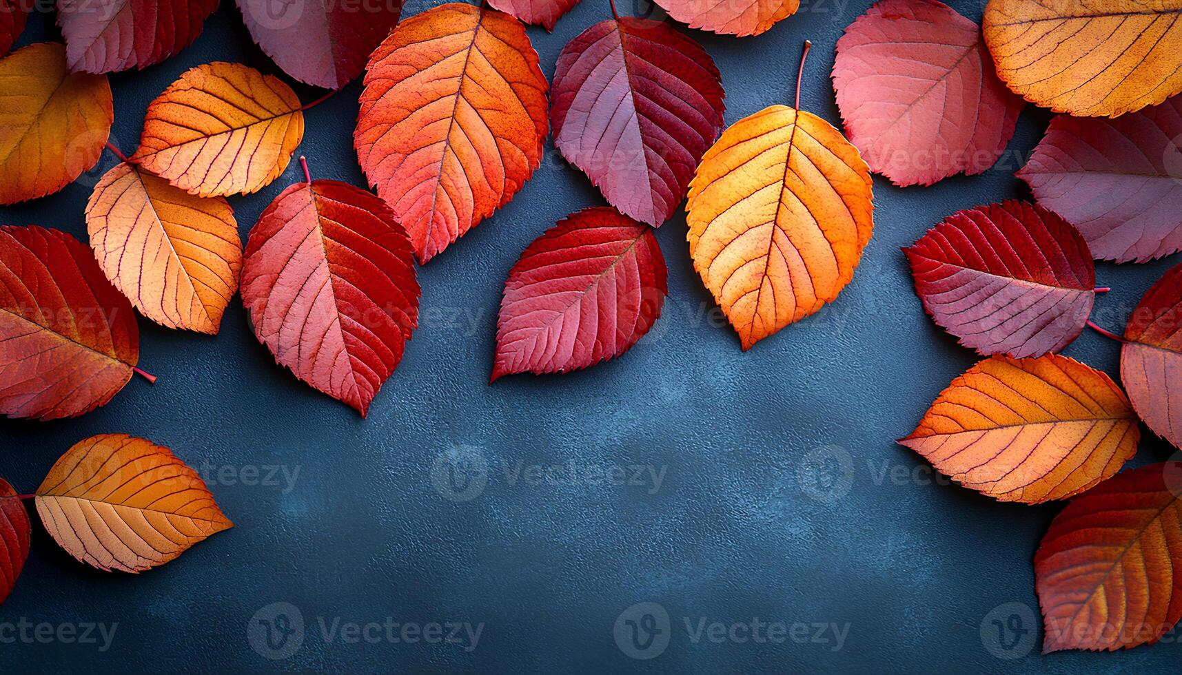 red, orange and yellow autumn leaves top view. Fall time dried up leaves to signify the changing of seasons and passage of time. Autumn fall background with colorful dried up leaves. maple leaf photo