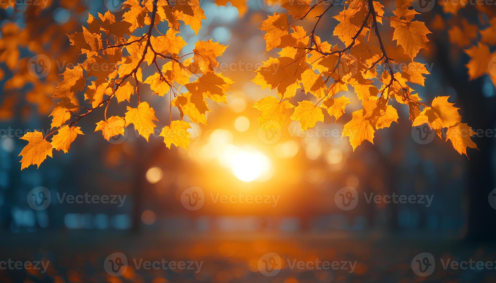 sunset through the branches of maple tree to signify the changing of seasons. Fall time with dried up orange and red maple leaves. Autumn in the park through tree branches photo