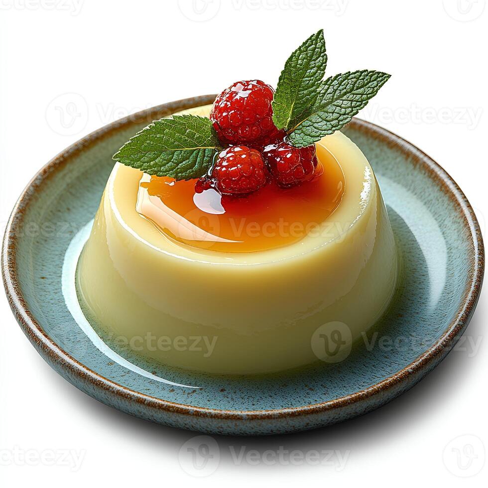 vanilla pudding isolated on white background with shadow. vanilla pudding dessert top view photo