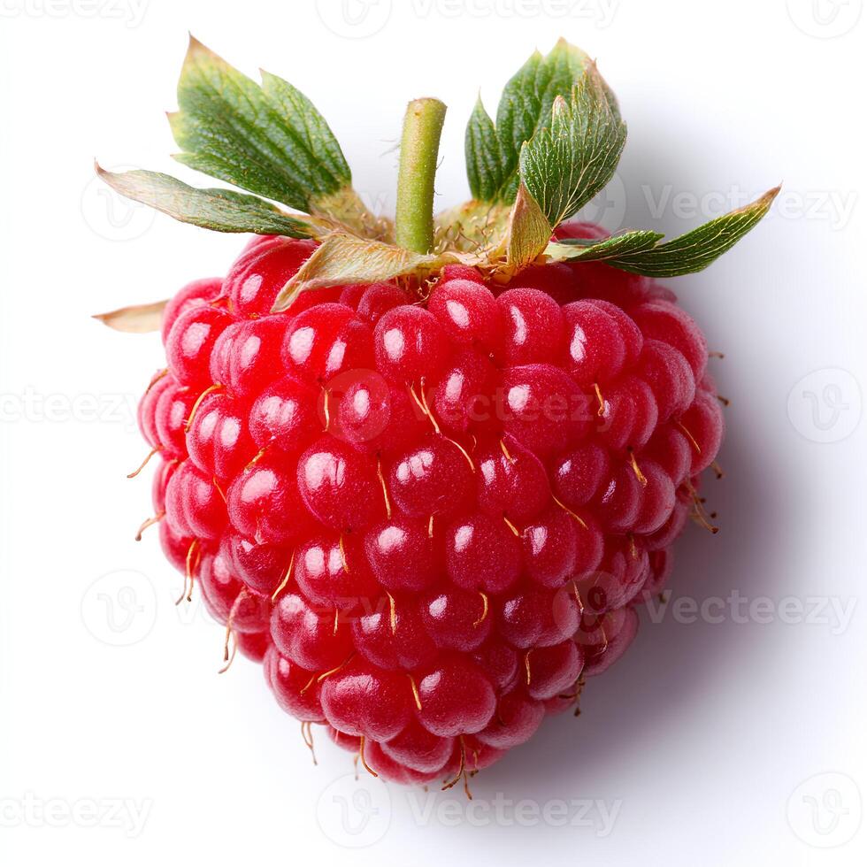 Raspberry sprouts isolated on white background with shadow. red berry fruit raspberries isolated for promotional purposes. autumn fall fruit raspberries photo