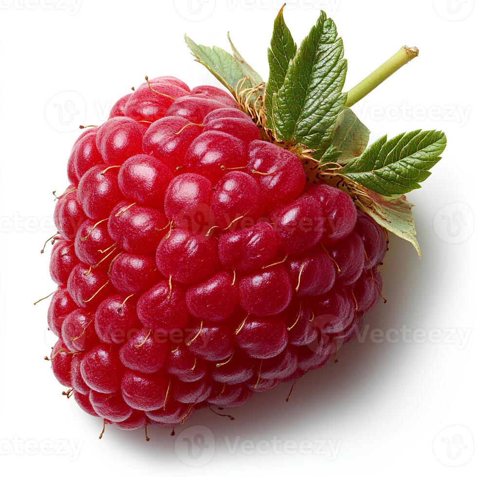 Raspberry sprouts isolated on white background with shadow. red berry fruit raspberries isolated for promotional purposes. autumn fall fruit raspberries photo