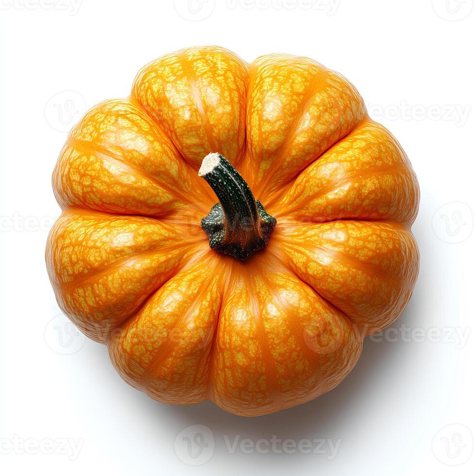 pumpkin isolated on white background with shadow. autumn fall fruit pumpkin for food preparation photo