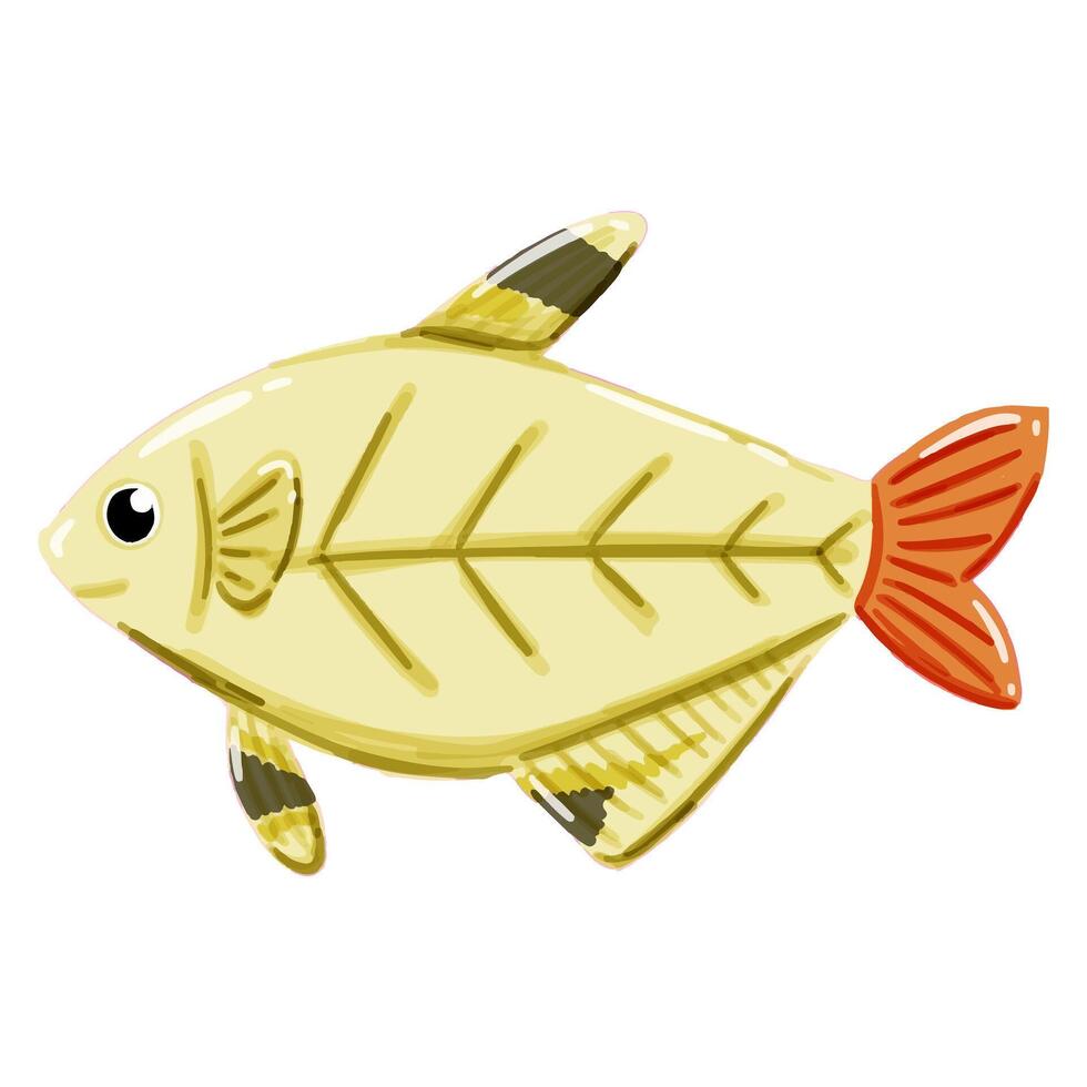 Image of a cute colorful X-ray fish. This illustration showcases the intricate features of an xray fish's anatomy. Perfect for educational materials and animal-themed projects. Isolated image. vector