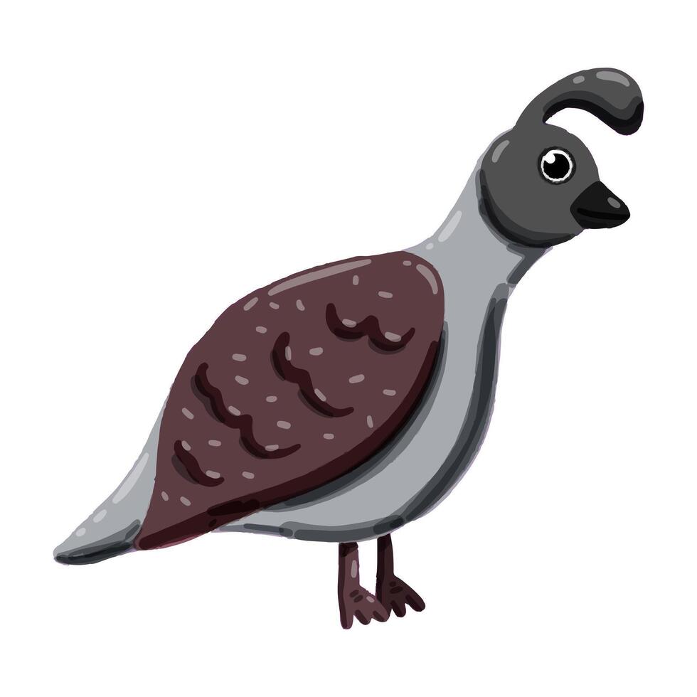 Image of a cute colorful Quail. This illustration showcases the intricate features of an Quail's anatomy. Perfect for educational materials and animal-themed projects. Isolated image. vector