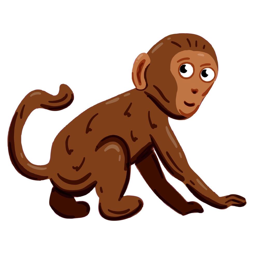 image of a cute colorful Monkey. This illustration showcases the intricate features of an monkey's anatomy. Perfect for educational materials and animal-themed projects. Isolated image. vector