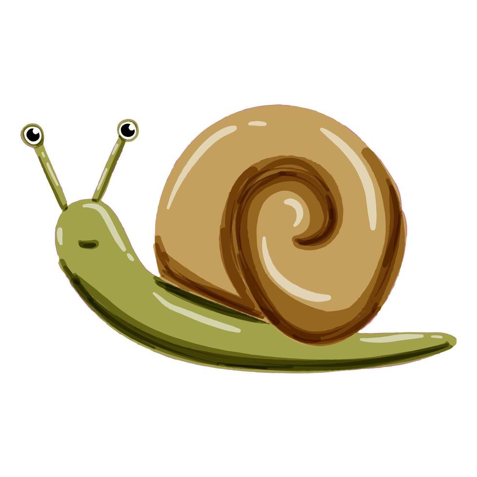 Image of a cute colorful snail. This illustration showcases the intricate features of an snail's anatomy. Perfect for educational materials and animal-themed projects. Isolated image. S letter. vector