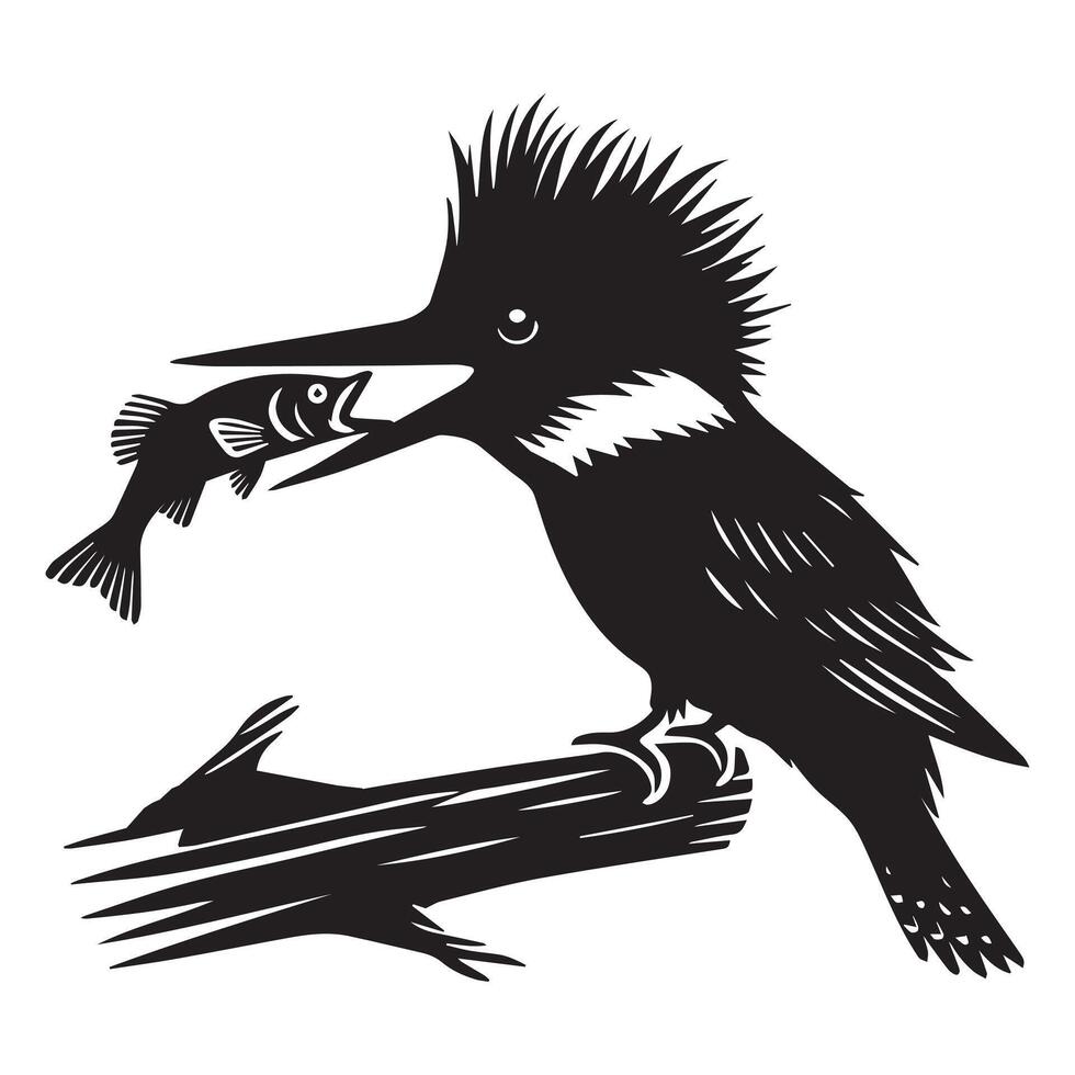 Belted Kingfisher silhouette - Megaceryle Alcyon Clipart - Belted Kingfisher gliding over water illustration in black and white vector