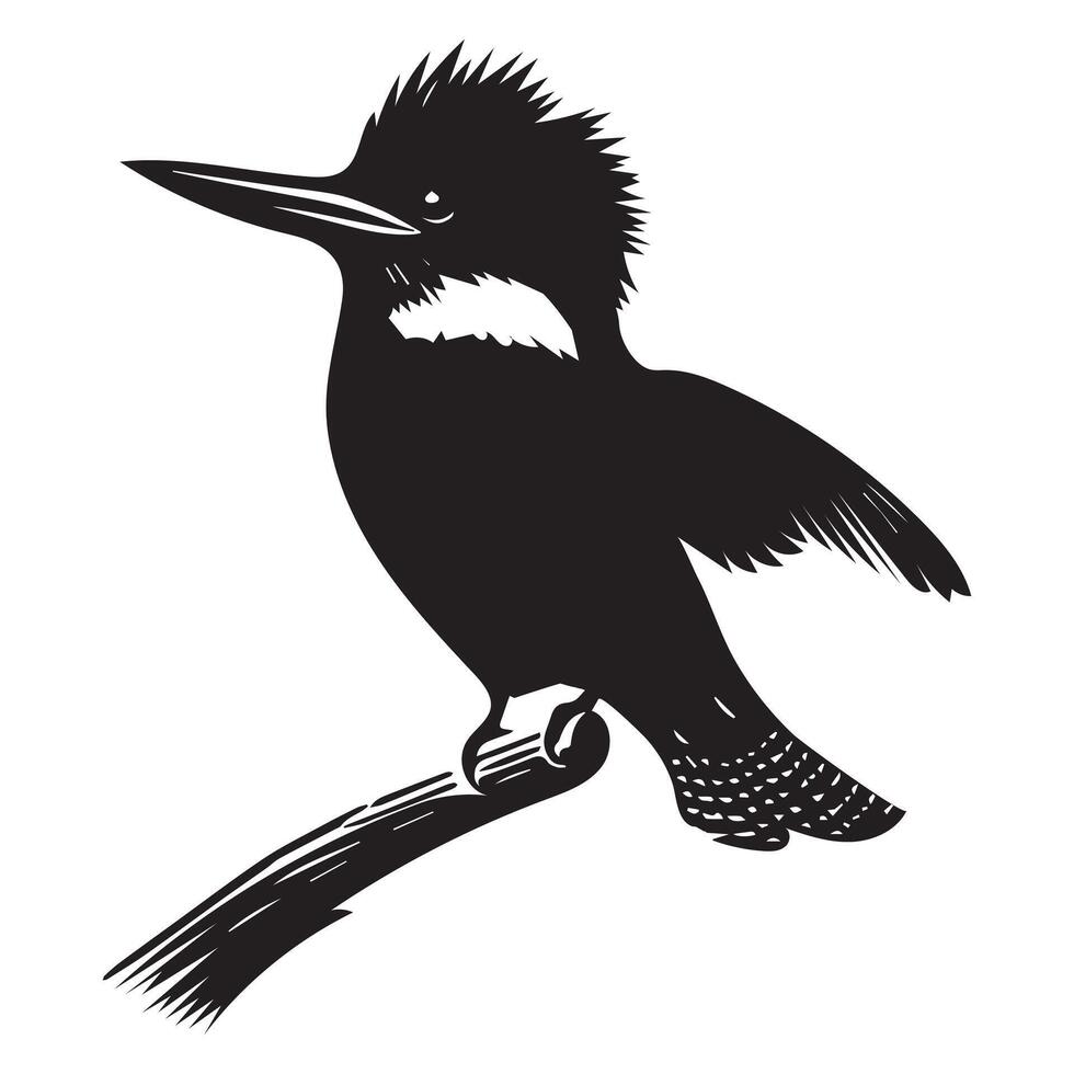 Belted Kingfisher silhouette - Megaceryle alcyon Clipart - Belted Kingfisher balancing on a narrow perch illustration in black and white vector