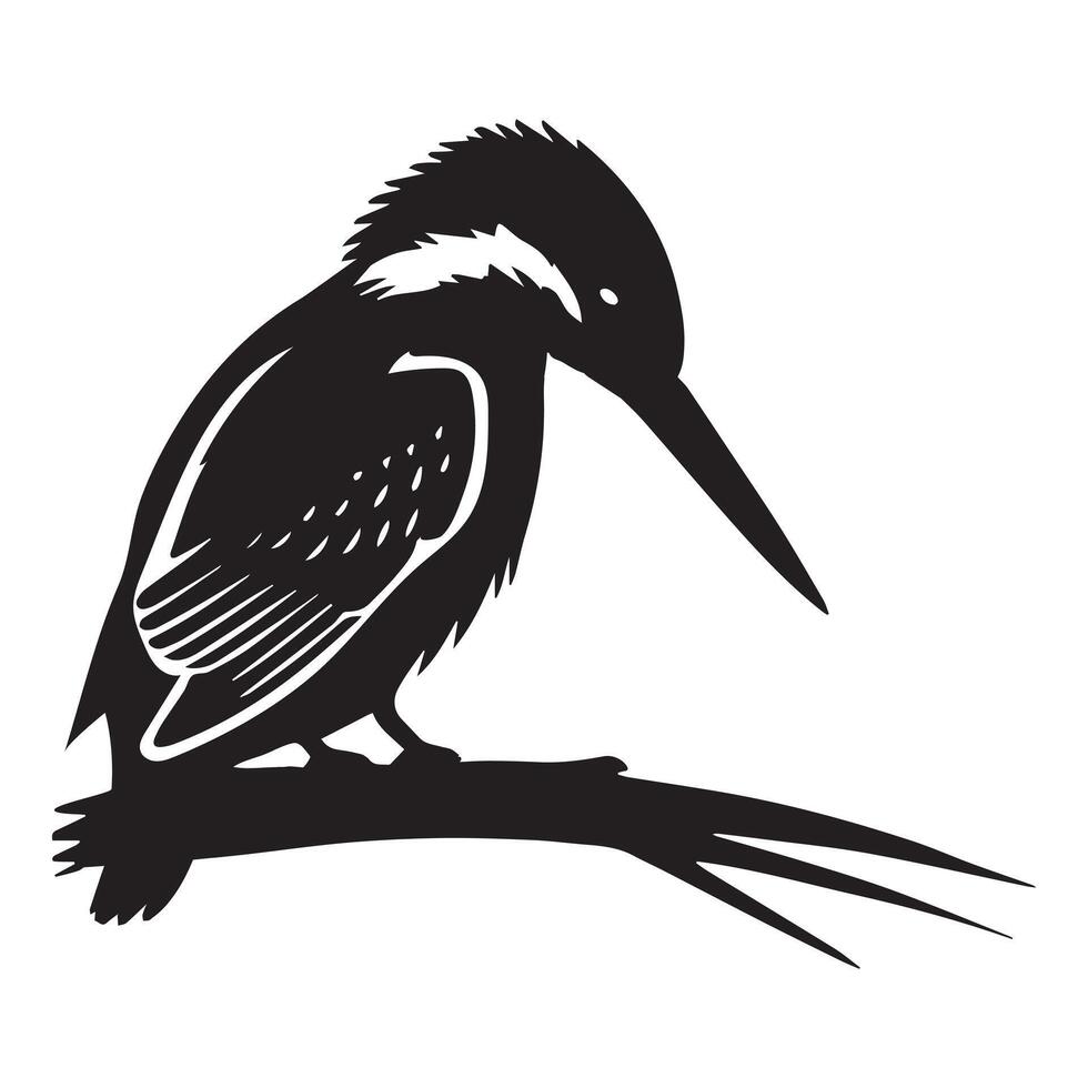 Eurasian Kingfisher silhouette - River Kingfisher Clipart - Common Kingfisher Looking down illustration in black and white vector