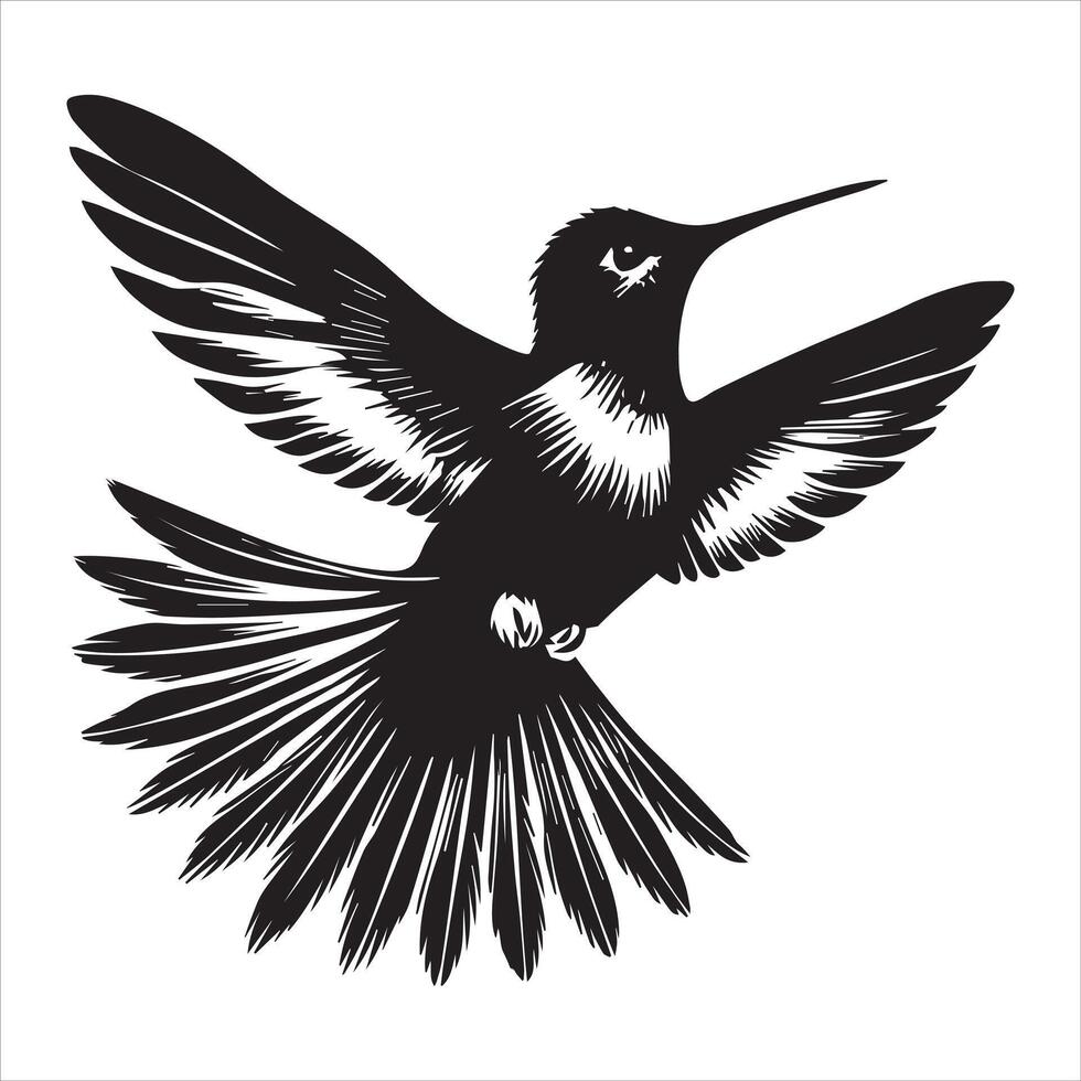 Costa's hummingbird silhouette - Hummingbird Bird Clipart - Costa's hummingbird flapping its wings rapidly illustration in black and white vector