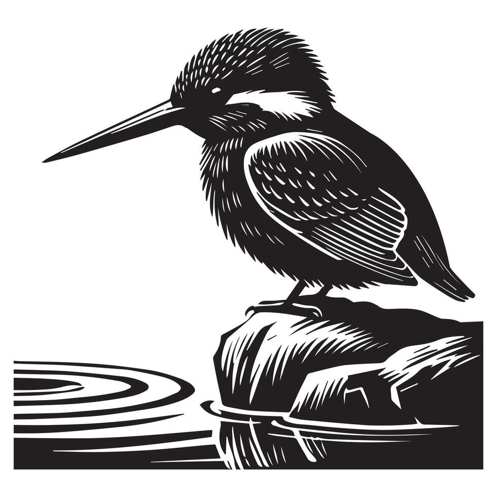Eurasian Kingfisher silhouette - River Kingfisher Clipart - Common Kingfisher Sitting on a rock illustration in black and white vector