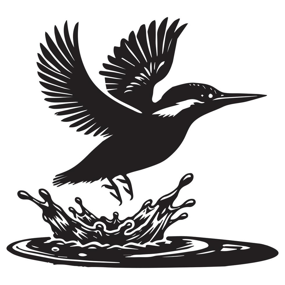 Eurasian Kingfisher silhouette - River Kingfisher Clipart - Common Kingfisher Taking off from water illustration in black and white vector