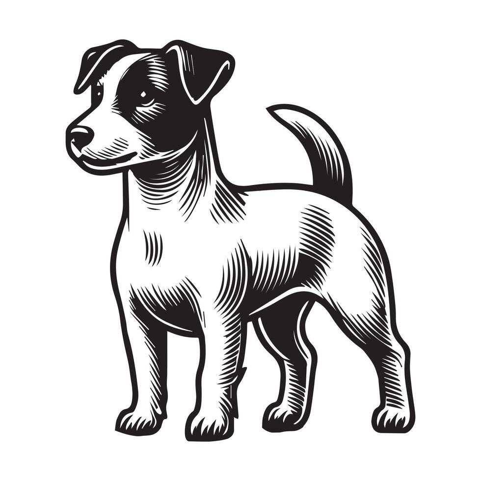 Jack Russell Terrier Dog Standing silhouette - standing dog side view illustration in black and white vector