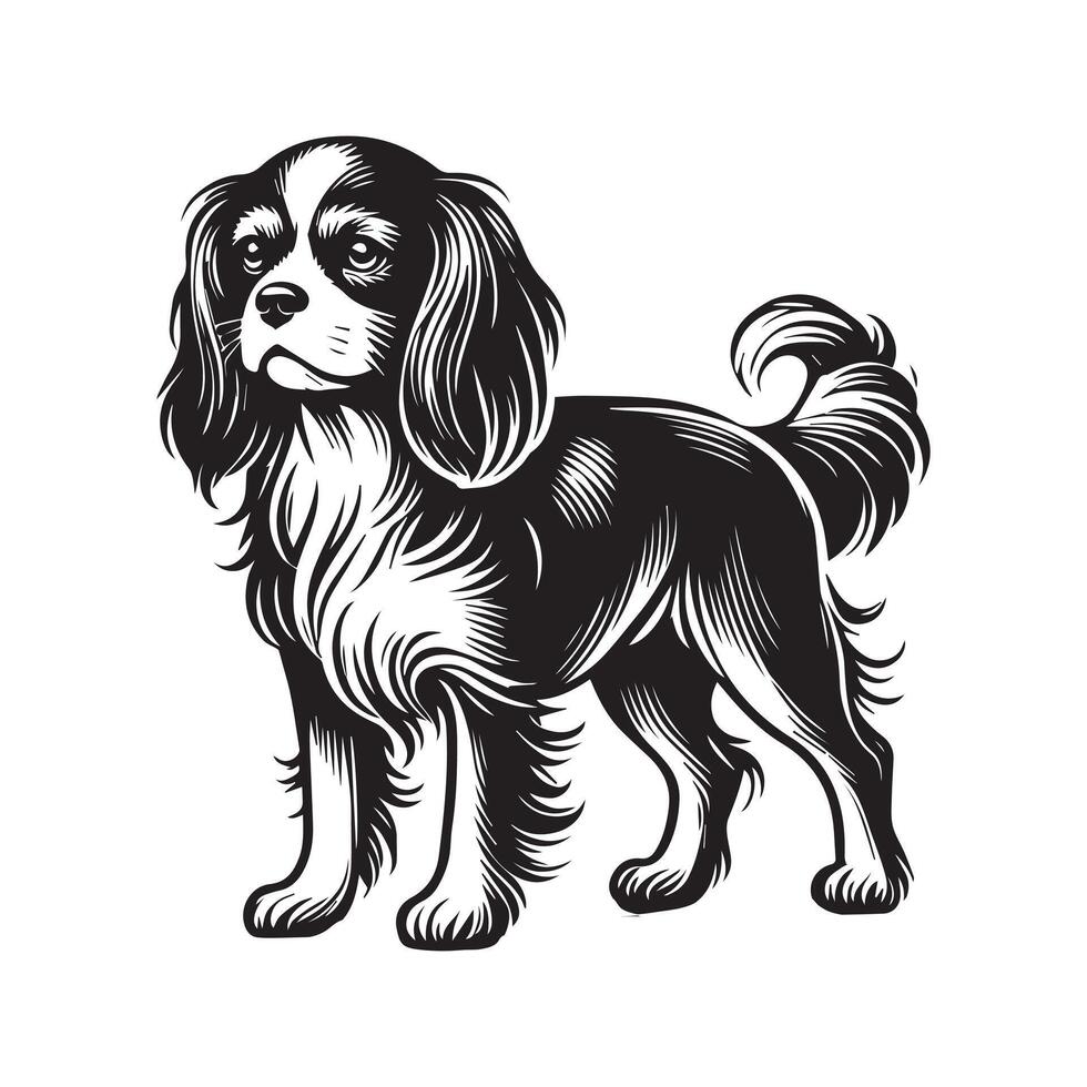 Cavalier King Dog Standing - Dog silhouette - standing dog side view illustration in black and white vector
