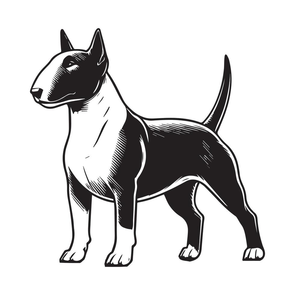 Bull Terrier Dog Standing - Dog silhouette - standing dog side view illustration in black and white vector