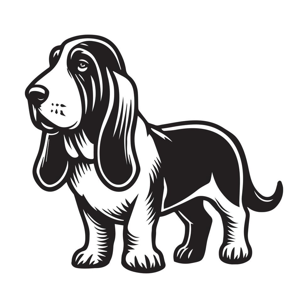 Basset Hound Dog Standing - Dog silhouette - standing dog side view illustration in black and white vector