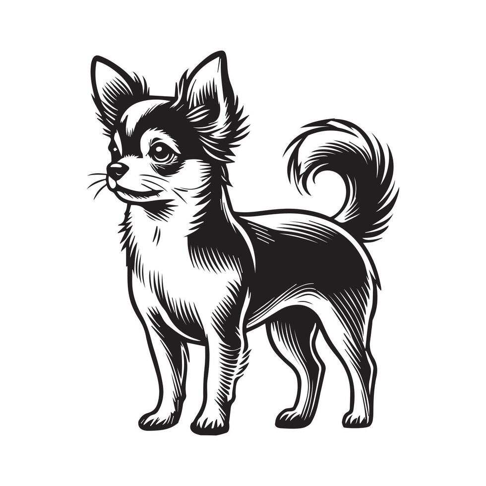 Chihuahua Dog Standing silhouette - standing dog side view illustration in black and white vector