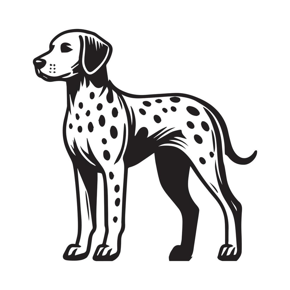 Dalmatian Dog Standing silhouette - standing dog side view illustration in black and white vector