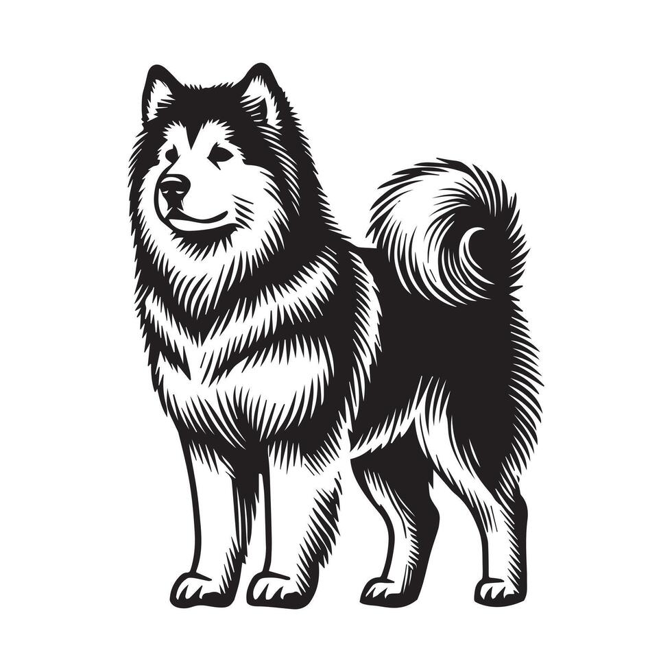 Alaskan Malamute Dog Standing - standing dog side view illustration in black and white vector