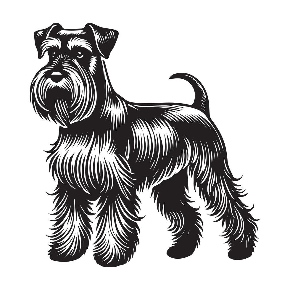 Miniature Schnauzer Dog Standing silhouette - standing dog side view illustration in black and white vector