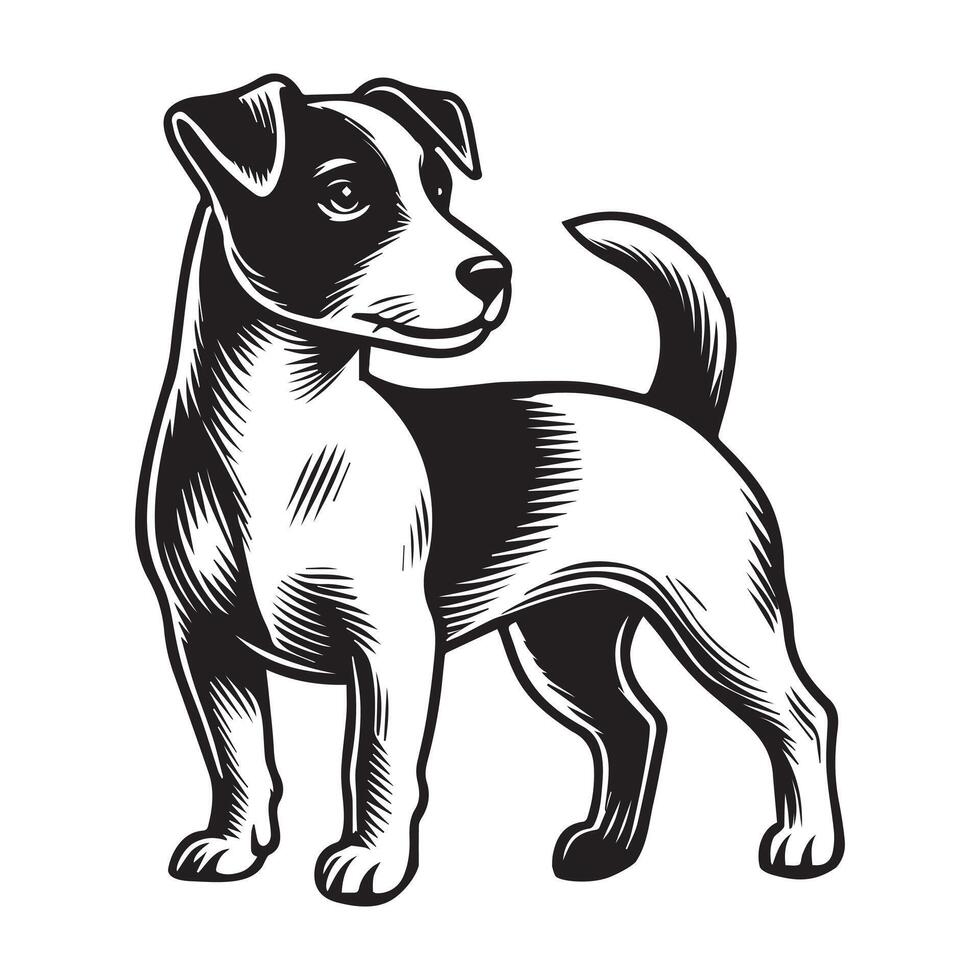 Jack Russell Terrier Dog Standing silhouette - standing dog side view illustration in black and white vector