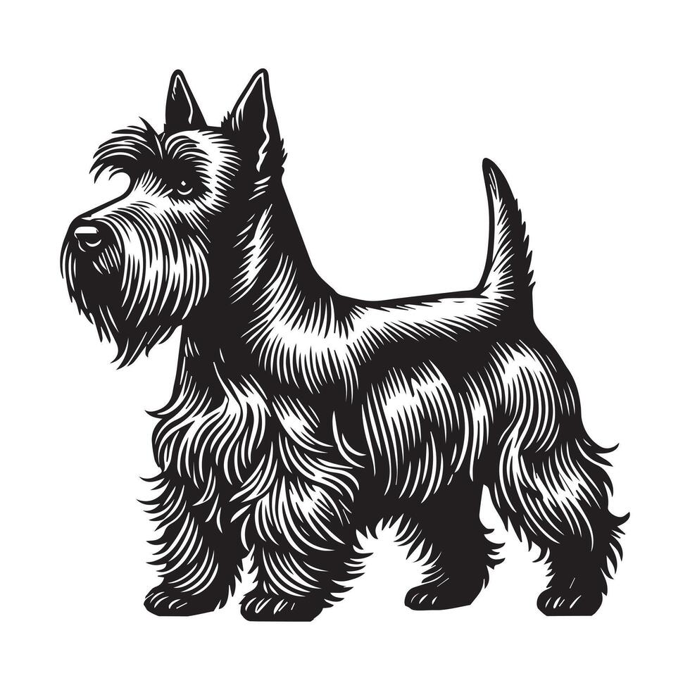 Scottish Terrier Dog Standing silhouette - standing dog side view illustration in black and white vector