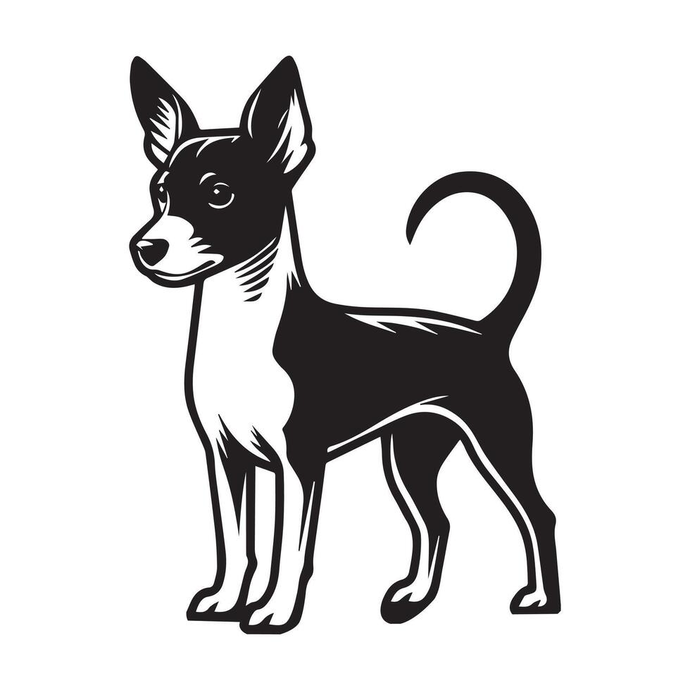 Rat Terrier Dog Standing silhouette - standing dog side view illustration in black and white vector