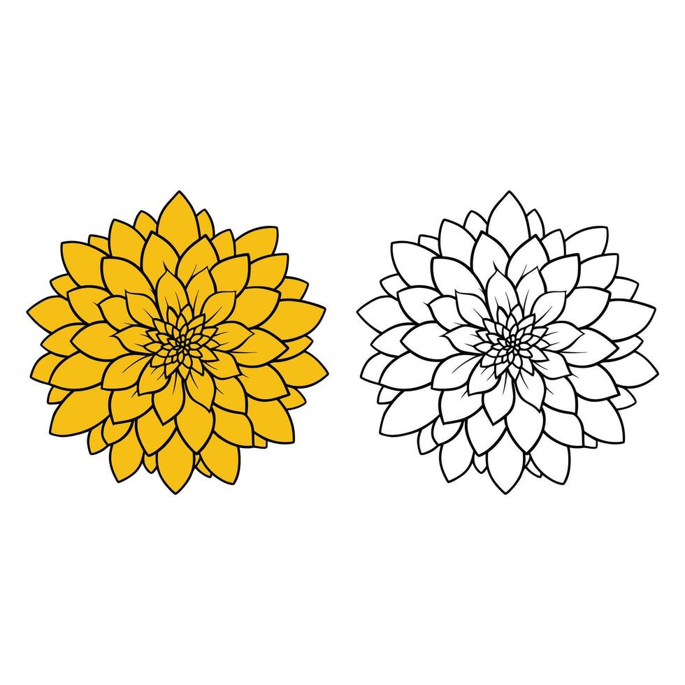 Flower Outline Design - Floral Clipart - Chrysanthemum flower illustration in black and white vector