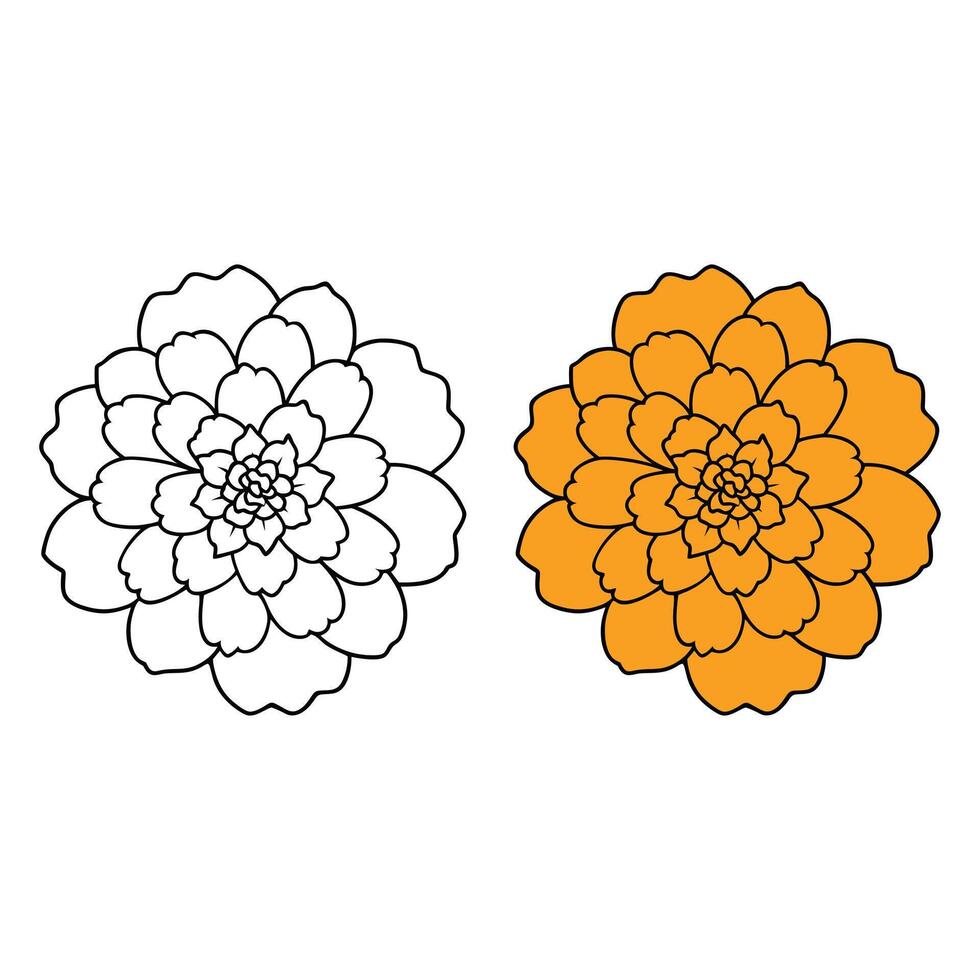 Flower Outline Design - Floral Clipart - Marigold flower illustration in black and white vector
