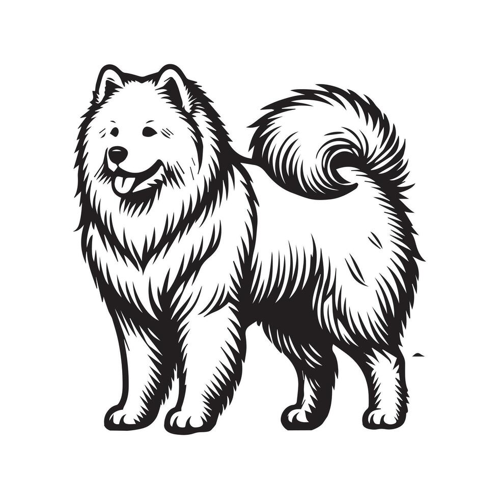 Samoyed Dog Standing silhouette - standing dog side view illustration in black and white vector