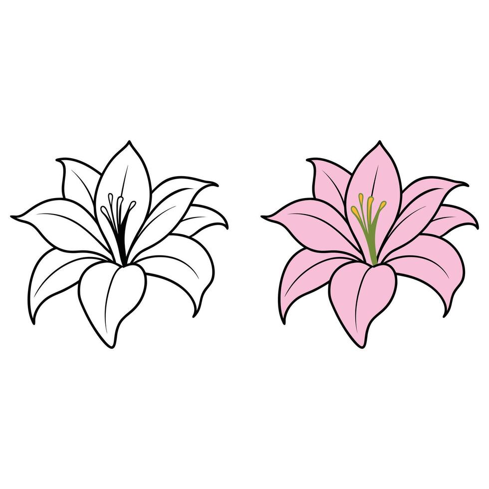 Flower Outline Design - Floral Clipart - Lily flower illustration in black and white vector