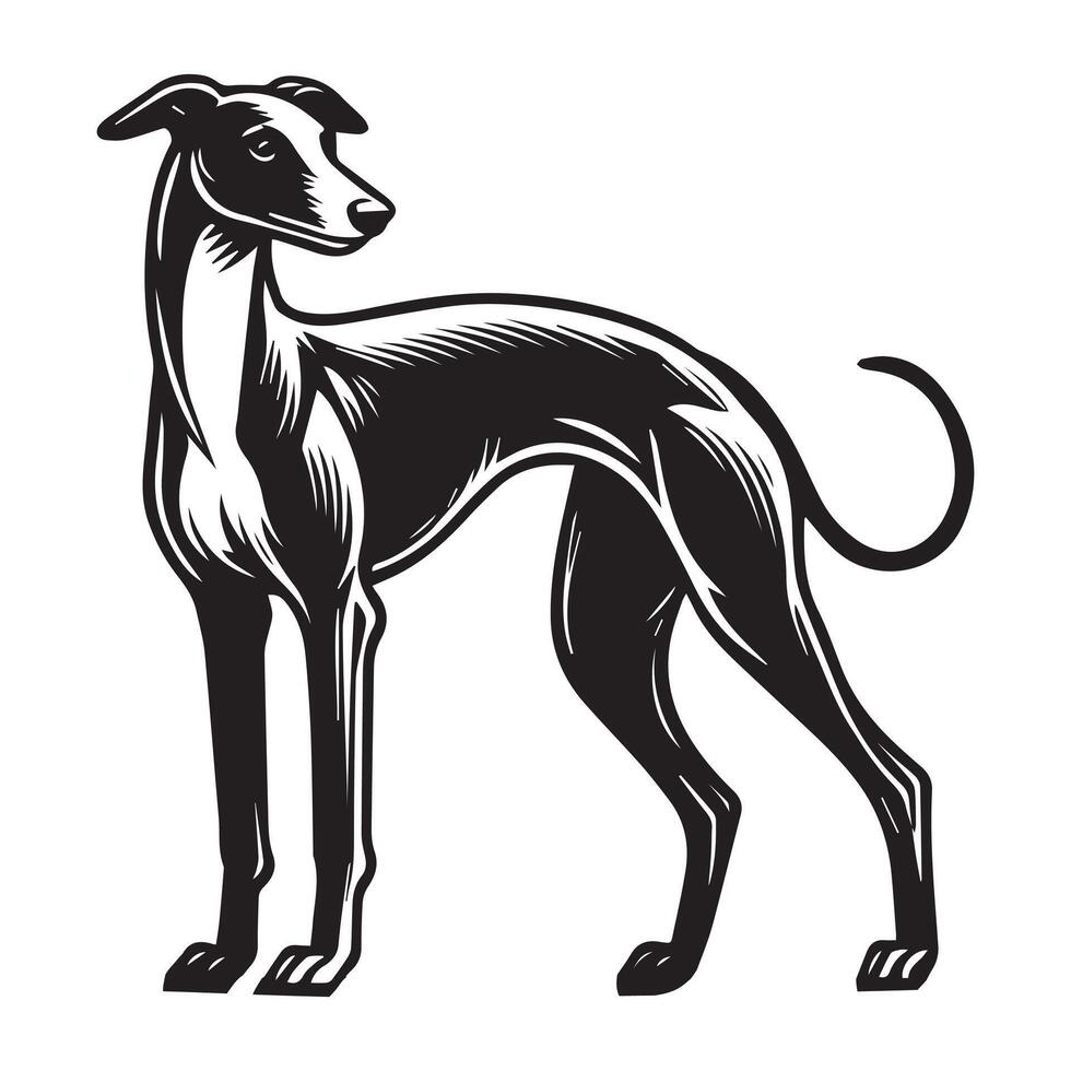 Greyhound Dog Standing silhouette - standing dog side view illustration in black and white vector
