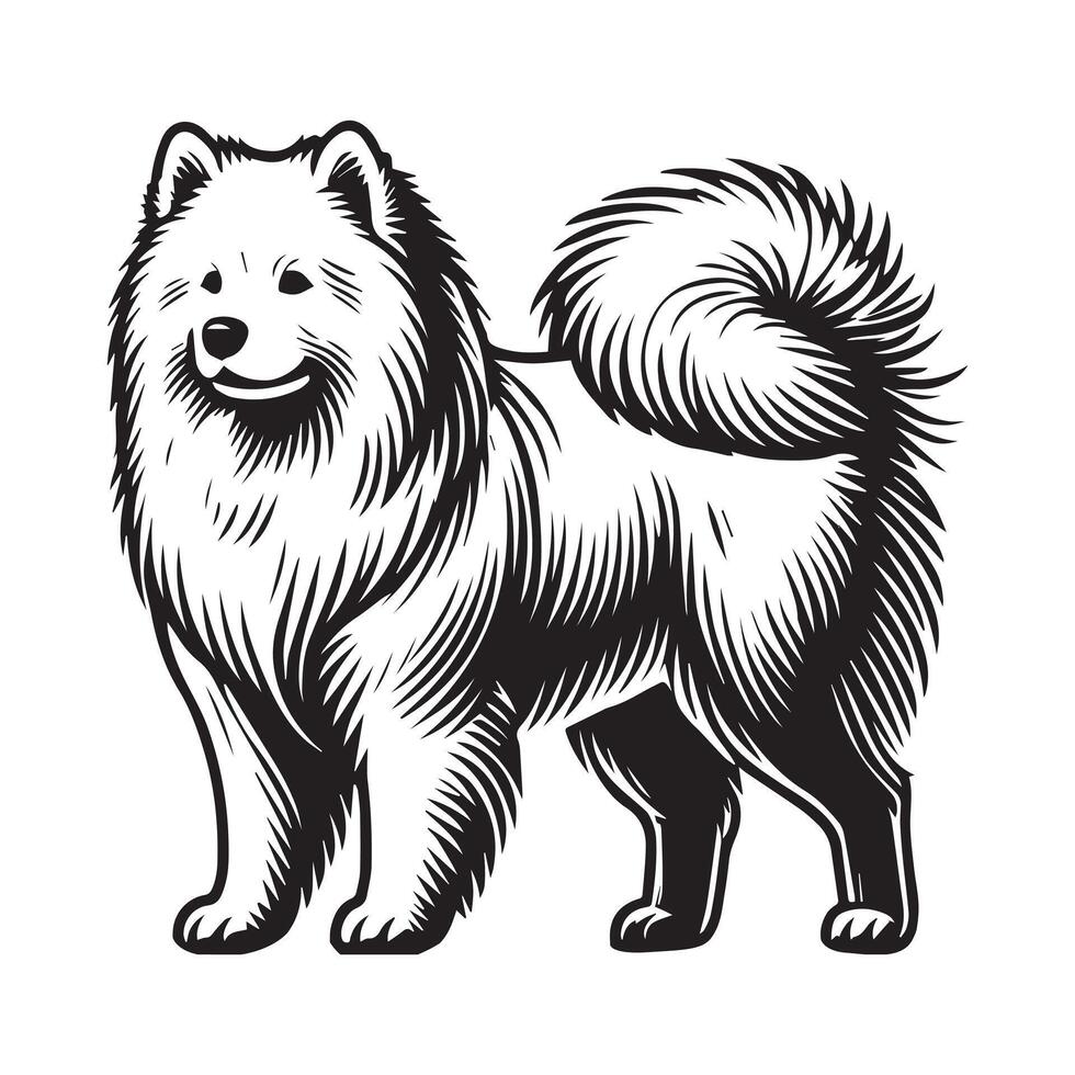 Samoyed Dog Standing silhouette - standing dog side view illustration in black and white vector