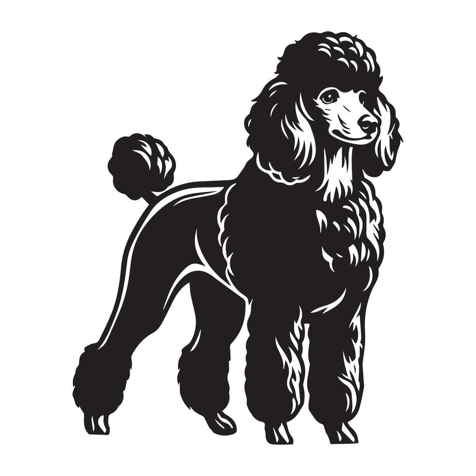 Poodle Dog Standing silhouette - standing dog side view illustration in black and white vector