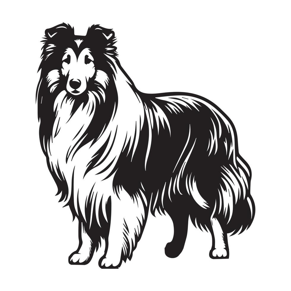 Sheltie Dog Standing silhouette - standing dog side view illustration in black and white vector
