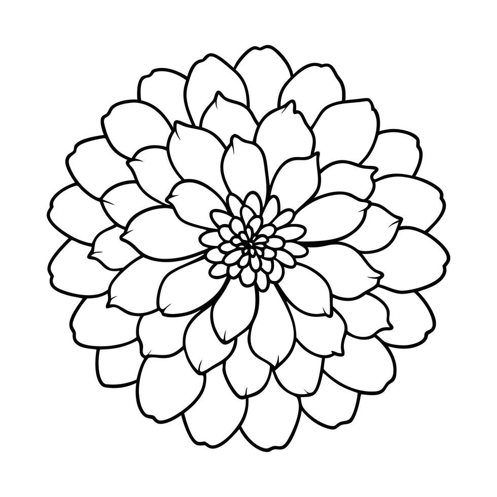 Flower Outline Design - Floral Clipart - Zinnia Flower Illustration in black and white vector