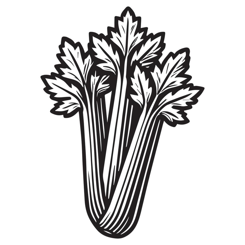 Vegetable Clipart - Veggies Food Outline Design - Celery vegetable Illustration in black and white vector
