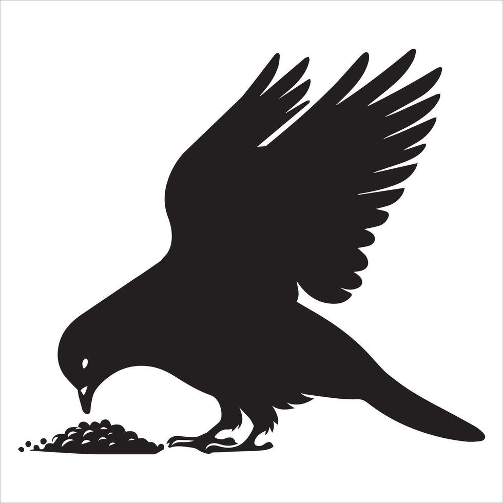 Rock Dove Silhouette, Pigeon Bird Clipart - Rock Dove pecking at food Illustration in black and white vector