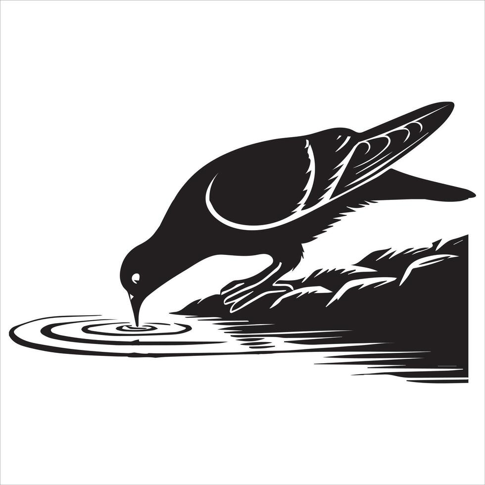 Rock Dove Silhouette, Pigeon Bird Clipart - Columba livia Design - Rock Dove drinking water Illustration in black and white vector