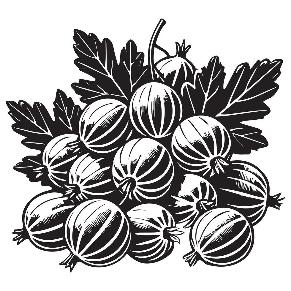 Fruit Outline Design - Fruits Clipart - Gooseberry Fruit Illustration in black and white vector