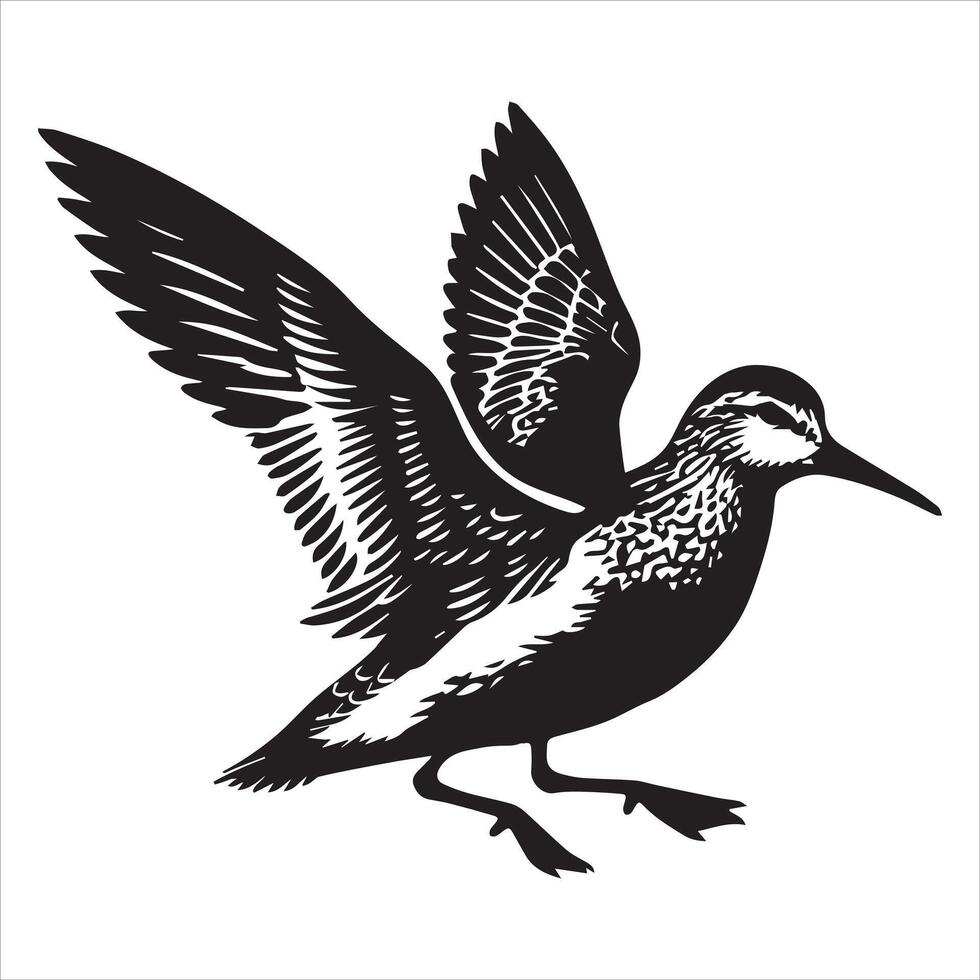 Dunlin Silhouette - Dunling Bird Clipart, Calidris alpina Design, Dunlin Taking Off Illustration in black and white vector