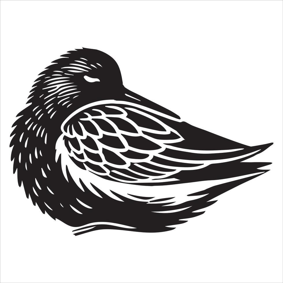Dunlin Silhouette - Dunling Bird Clipart, Calidris alpina Design, Dunlin sleeping Illustration in black and white vector