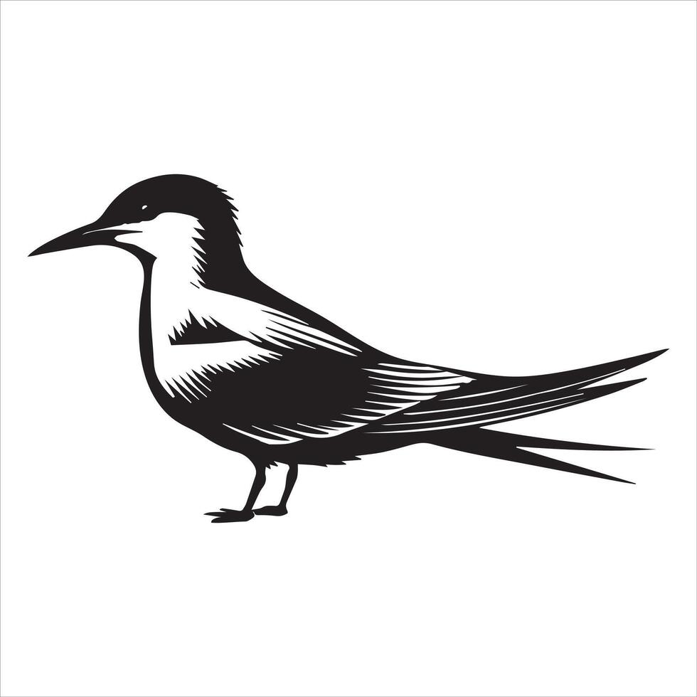 Common Tern Silhouette, Sterna hirundo Bird Clipart - Common Tern perched on a pier Illustration in black and white vector