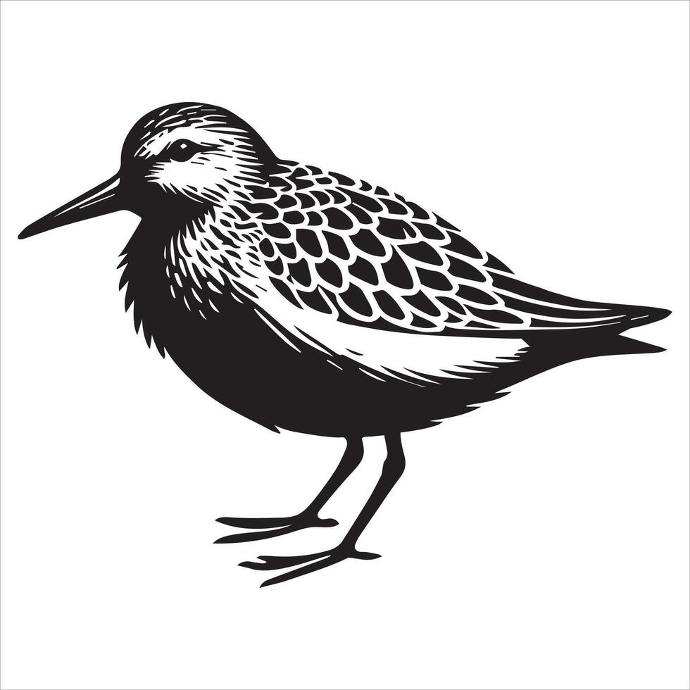 Dunlin Silhouette - Dunling Bird Clipart, Calidris alpina Design, Dunlin Resting Illustration in black and white vector