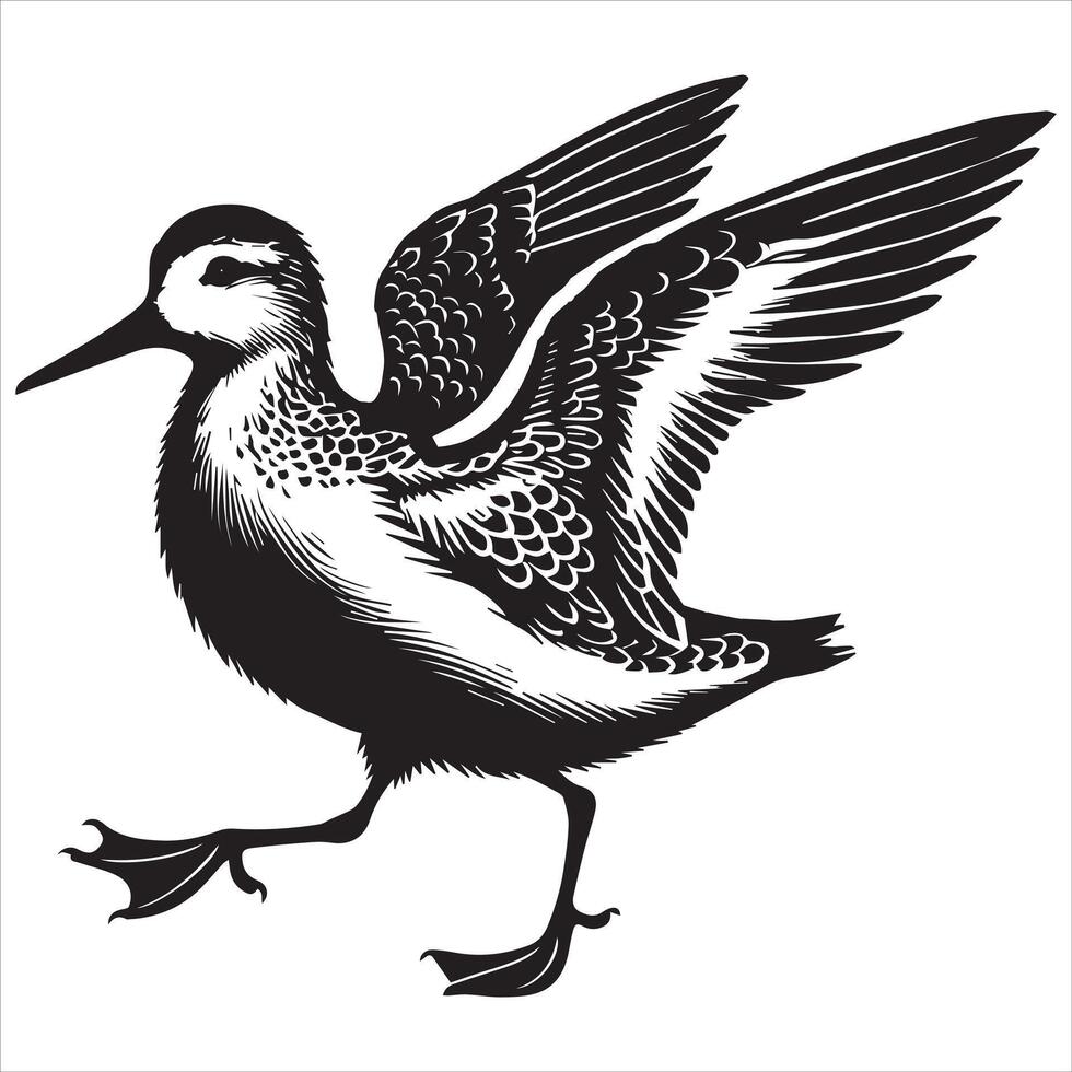 Dunlin Silhouette - Dunling Bird Clipart, Calidris alpina Design, Dunlin running Illustration in black and white vector