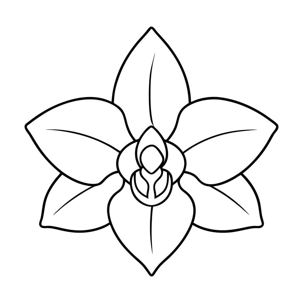 Flower Outline Design - Floral Clipart - Orchid Flower Illustration in black and white vector