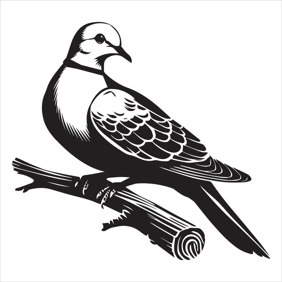 Streptopelia Decaocto Clipart - Eurasian collared Dove Silhouette - Eurasian collared dove perched branch Illustration in black and white vector