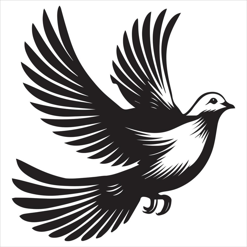 Mourning Dove Silhouette - Zenaida macroura Clipart - Mourning Dove mid-flight Illustration in black and white vector