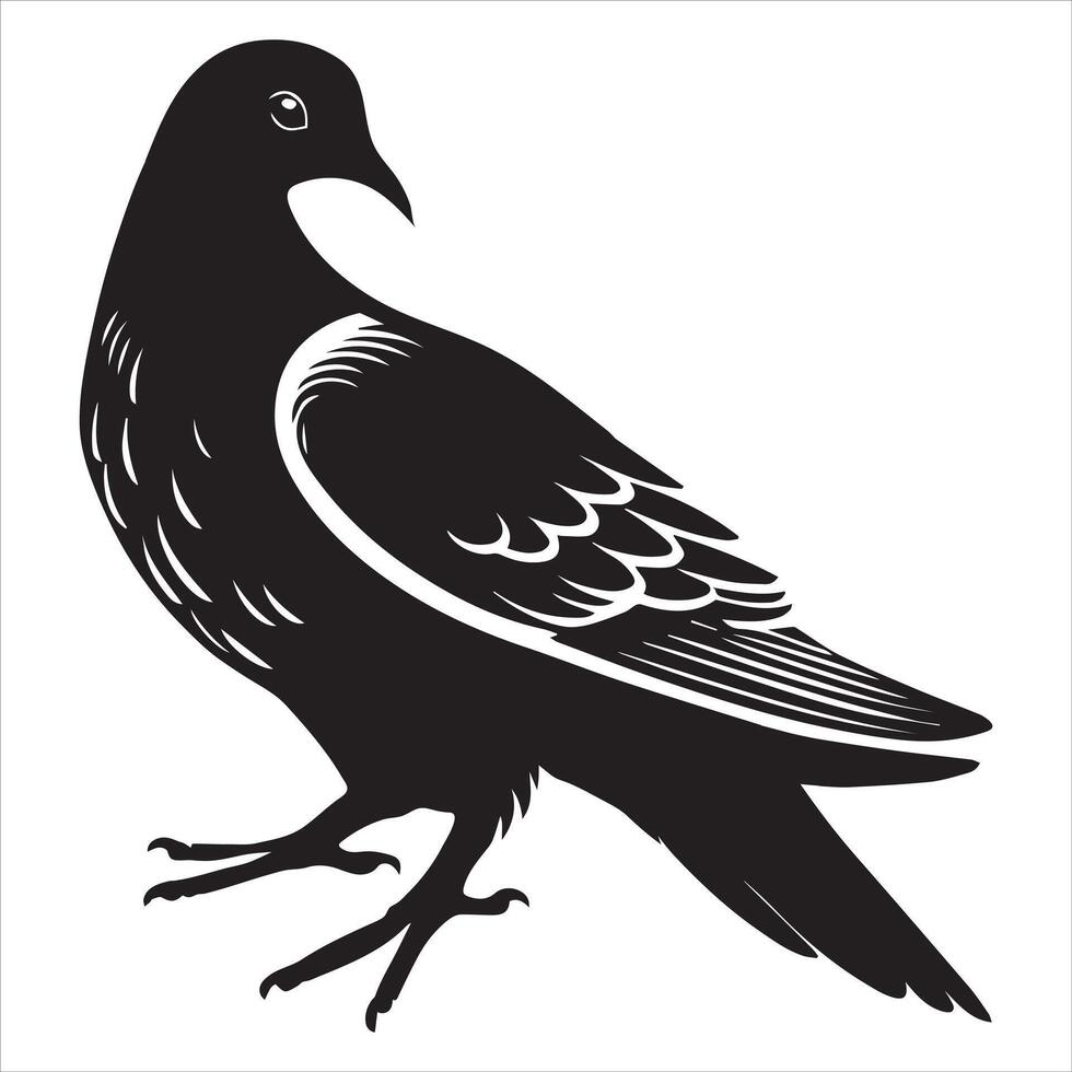 Mourning Dove Silhouette - Zenaida macroura Clipart - Mourning Dove perched tucked up Illustration in black and white vector